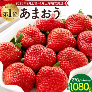 【ふるさと納税】 先行予約受付中! 数量限定 福岡県産 あまおう 合計1080g 270g×4パック アフター保証 対応 いちご 苺 イチゴ フルーツ 果物 春 旬 福岡県産 九州 国産 【2025年2月上旬～4月上旬発送予定】 送料無料