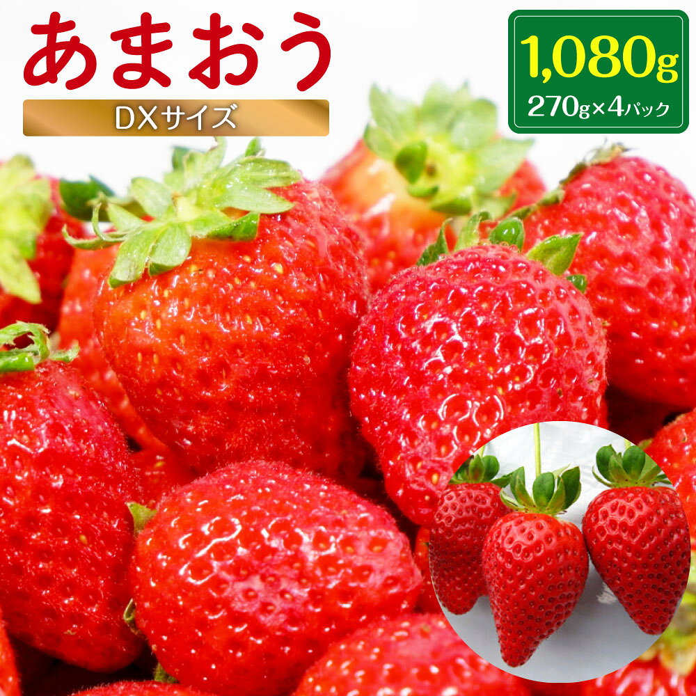 【2022年1月より順次発送予定】あまおう おまかせパック 合計1,080g（270g×4パック）収穫当日発送・限定栽培 Lサイズ～DXサイズ いちご 苺 果物 フルーツ 福岡県産 九州産 国産 送料無料
