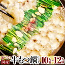 【ふるさと納税】【～4/1まで限定 ちゃんぽん麺増量】【選べる国産牛もつ鍋セット】国産牛もつ鍋セット ...