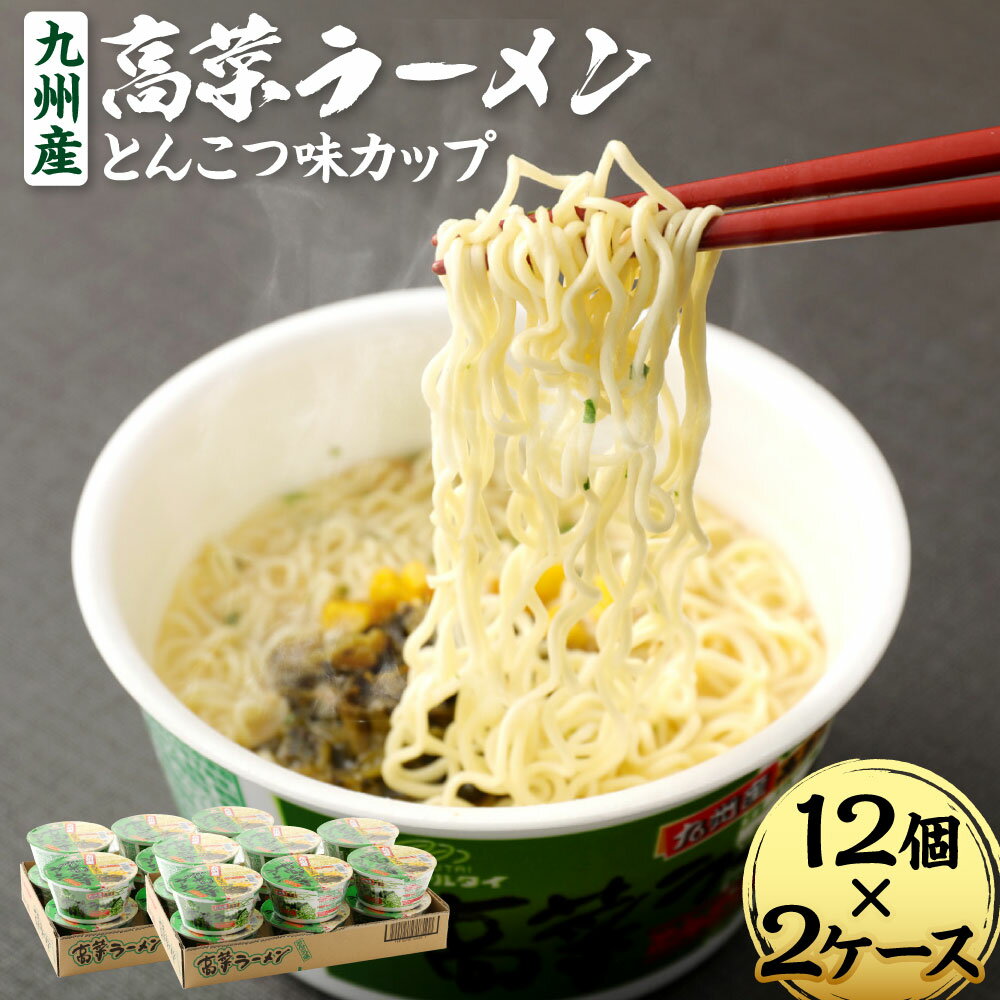 九州産 高菜ラーメンとんこつ味カップ 合計24個 89g×12個×2ケース ラーメン 高菜拉麺 インスタント カップラーメン カップ麺 豚骨 即席麺 福岡県 常温保存可能 送料無料