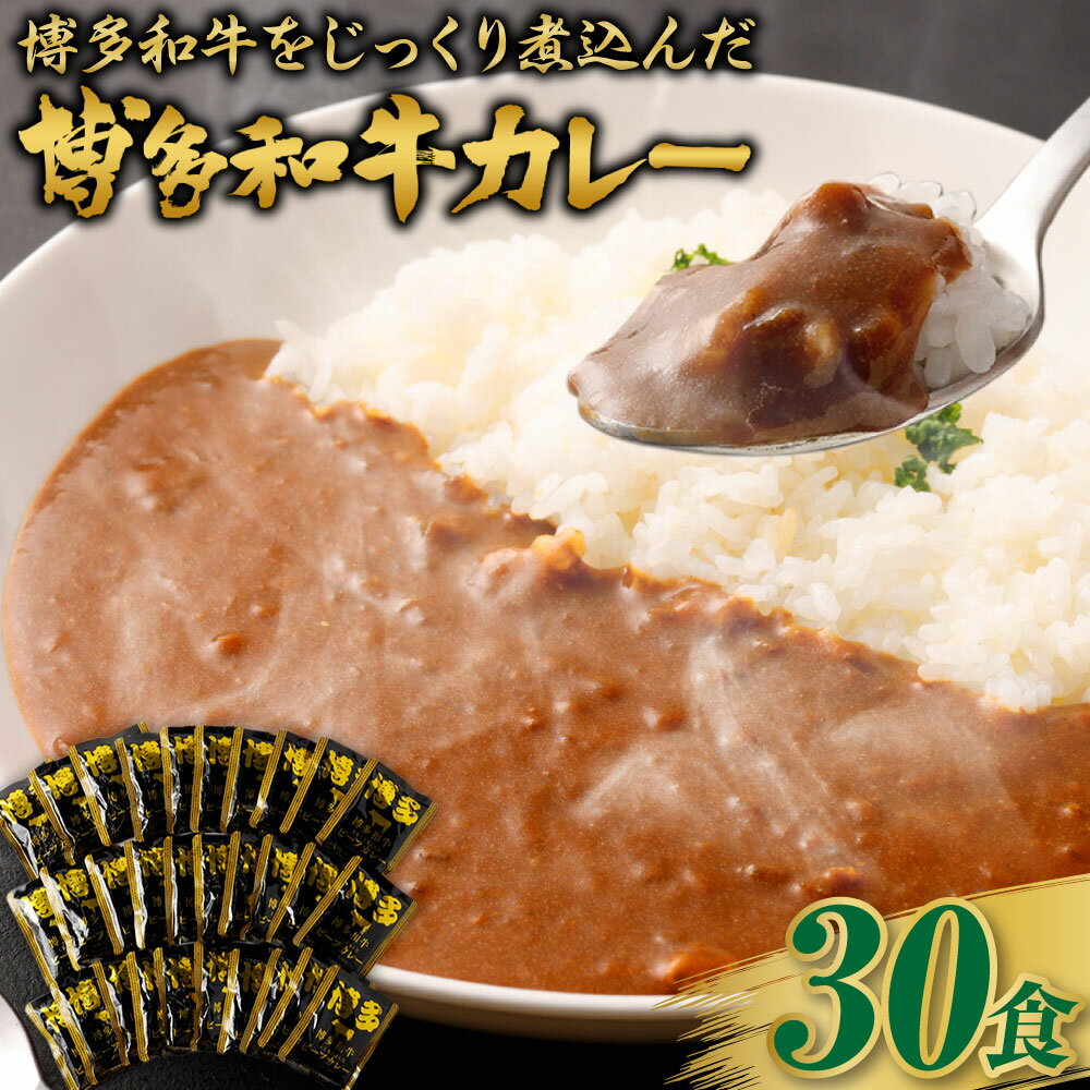 26位! 口コミ数「0件」評価「0」【福岡県産博多和牛使用】博多和牛じっくり煮込んだビーフカレー レトルト 30人前 160g×30袋 合計4.8kg カレー ビーフカレー 博･･･ 