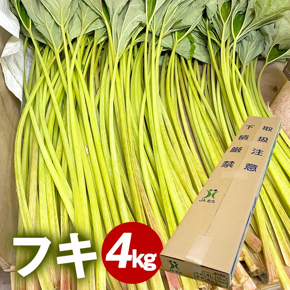 フキ 4kg 蕗 生フキ 山菜 野菜 ふき 福岡 遠賀町 送料無料 ふるさと納税バイブル フキ 4kg 蕗 生フキ 山菜 野菜 ふき 福岡 遠賀町 送料無料 ふるさと納税バイブル