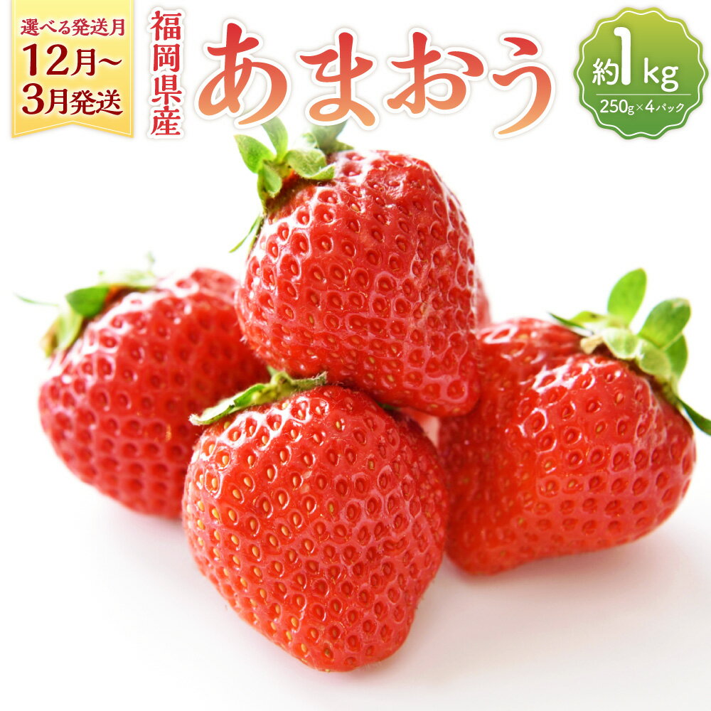 【ふるさと納税】【選べる発送月】福岡県産 あまおう 約1kg 約250g×4パック 果物 フルーツ いちご 苺 イチゴ ストロベリー ベリー おやつ デザート 福岡県産 九州産 送料無料 【2025年12月上旬～2026年3月下旬順次発送予定】