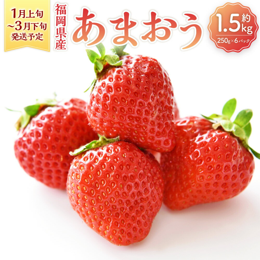 【ふるさと納税】福岡県産 あまおう 約1.5kg 約250g×6パック 果物 フルーツ いちご 苺 イチゴ ストロベリー ベリー おやつ デザート 福岡県産 九州産 送料無料 【2026年1月上旬～3月下旬発送予定】