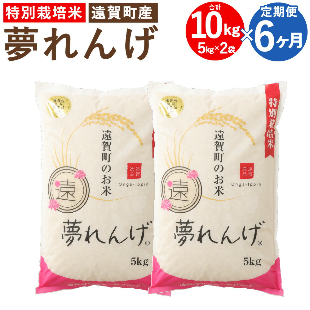 【ふるさと納税】【6ヶ月定期便】特別栽培米 夢れんげ 10kg 5kg×2袋 6回配送 合計60kg 定期便 夢つくし 元気つくし 精米 白米 お米 米 福岡 令和3年産 遠賀町産 九州産 国産 送料無料