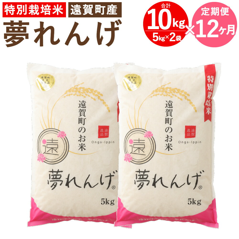 【ふるさと納税】【12ヶ月定期便】特別栽培米 夢れんげ 10kg 5kg×2袋 12回配送 合計120kg 定期便 夢つくし 元気つくし 精米 白米 お米 米 福岡 令和3年産 遠賀町産 九州産 国産 送料無料