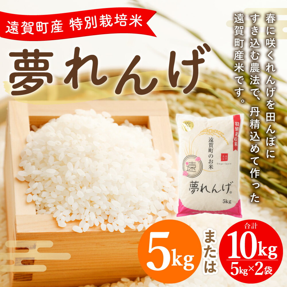 【ふるさと納税】【令和7年産】特別栽培米 夢れんげ 〈選べる〉 5kg または 10kg 1袋あたり5kg 1袋 2袋 夢つくし 元気つくし 精米 白米 お米 米 ごはん ご飯 福岡 遠賀町産 九州産 国産 送料無料