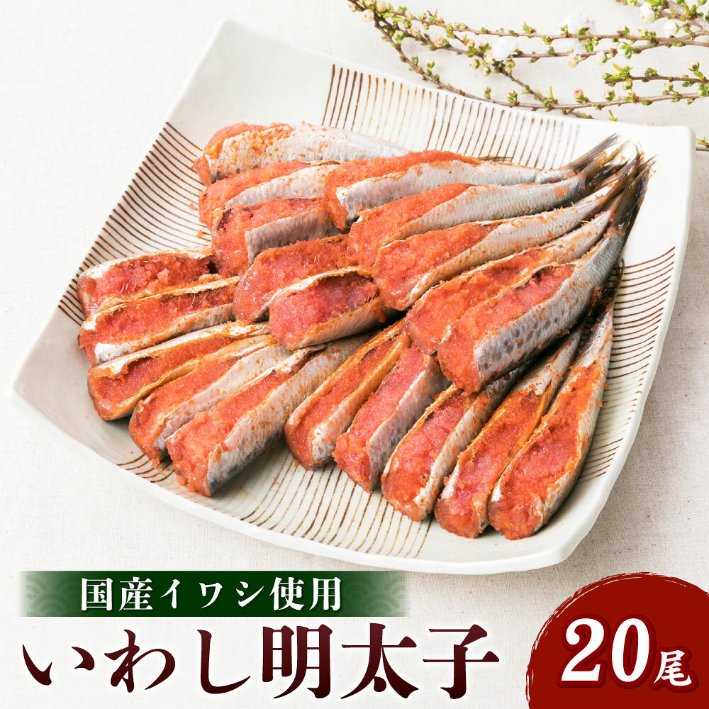 いわし明太子 20尾 (5尾×4パック) 明太子 国産イワシ 魚 お取り寄せ 福岡 博多 九州 グルメ おつまみ おかず 冷凍 送料無料