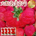 【ふるさと納税】【2024年2月上旬より順次発送】大粒あまおう 約280g×4パック 合計約1120g あまおう いちご イチゴ 苺 ストロベリー ベリー フルーツ 果物 春 旬 九州 国産 福岡県産 送料無料