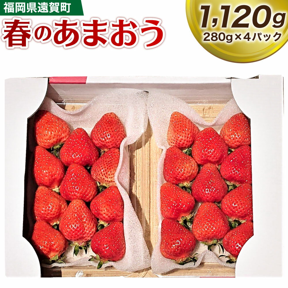 [2024年3月上旬より順次発送] 春のあまおう 2L・2A・G規格以上 約280g×4パック 合計1120g あまおう いちご イチゴ ストロベリー ベリー フルーツ 果物 福岡県産 送料無料