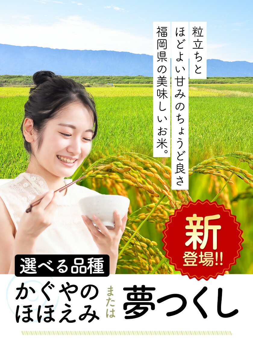 【ふるさと納税】新登場 米 かぐやのほほえみ 令和7年産 夢つくし 選べる 5kg 10kg 15kg 20kg 定期便あり 白米 《1回：11月中旬-12月末頃出荷》《定期便：12月から出荷開始》《選べるお届け内容》精米 福岡県 小竹町 お米 ブレンド米 国産 2ヶ月 3ヶ月 6ヶ月 9か月 12ヶ月