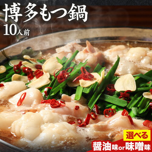 【ふるさと納税】もつ鍋 博多 味噌 醤油 もつ鍋 10人前 株式会社MEAT PLUS《30日以内に出荷予定(土日祝..