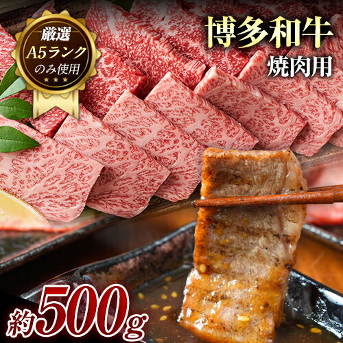 博多和牛焼肉用 500g[30日以内に出荷予定(土日祝除く)]小竹町 博多和牛 株式会社MEAT PLUS 牛肉 A5ランク のみ使用 厳選部位