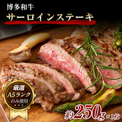 博多和牛サーロインステーキ 250g (250g×1枚)《30日以内に出荷予定(土日祝除く)》小竹町 博多和牛 株式会社MEAT PLUS 牛肉 サーロイン A5ランク のみ使用 厳選