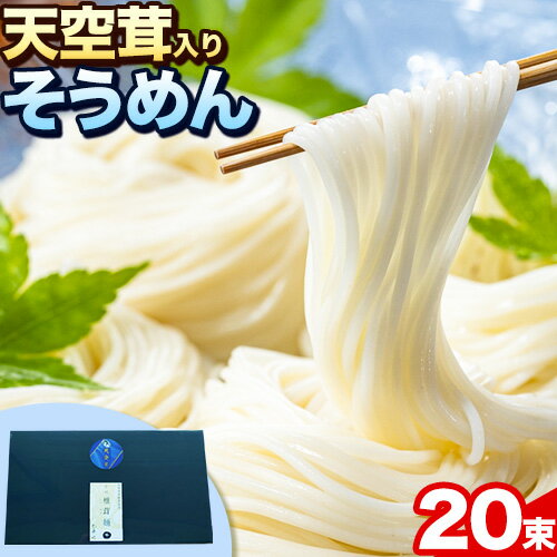 そうめん 椎茸 天空茸 入り そうめん 20束[30日以内に出荷予定(土日祝除く)]福岡県 鞍手郡 小竹町 素麺 椎茸 しいたけ 夏 麺 めんの山一