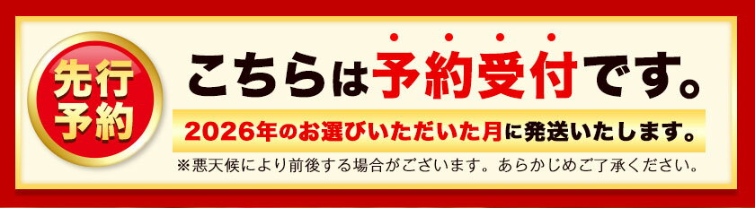 【ふるさと納税】【配送不可地域あり】2026年 先行予約 いちご あまおう いちご 大量 540g 選べる発送時期 定期便 フルーツ《出荷時期をお選びください》苺 旬 くだもの 果物 福岡県 小竹町