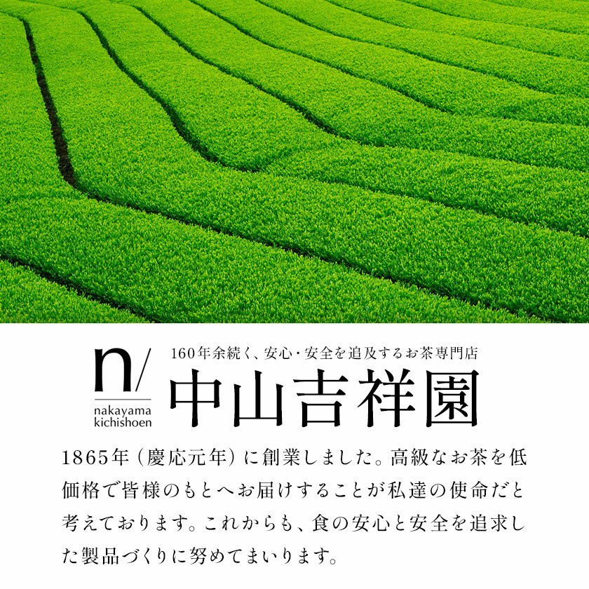 【ふるさと納税】玉露 入り 水出し 緑茶 選べる 20パック×1袋 または 2パック(使い切り)×2袋 《30日以内に出荷予定(土日祝除く)》 福岡県 小竹町 お茶 茶 送料無料