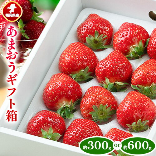 【ふるさと納税】福岡県産 あまおう ギフト箱 約300g 約600g 南国フルーツ株式会社《12月上旬-3月末頃出荷》福岡県 小竹町 あまおう いちご イチゴ 送料無料【配送不可地域あり】のサムネイル