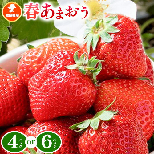 【ふるさと納税】福岡県産 春あまおう 4パック 6パック 南国フルーツ株式会社《2月上旬-3月末頃出荷》福岡県 小竹町 あまおう いちご ..