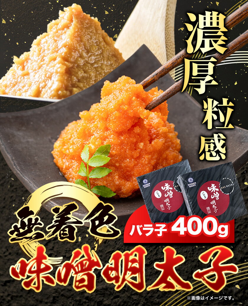 [新築祝い]【鮭の味噌漬 4切入×10点ギフトセット】じっくりと熟成させた地味噌を使用しました＜送料無料！＞
