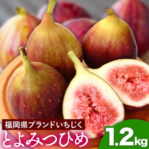 【ふるさと納税】いちじく 福岡県産 ブランド いちじく とよみつひめ 約1.2kg (約300g×4パック) 【配送不可地域あり…