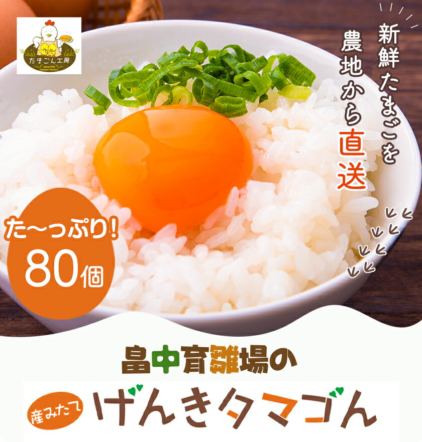 【ふるさと納税】【6ヶ月定期便】畠中育雛場のげんきタマゴん 80個 6回お届けで計480個！《お申込み月の翌月から出荷開始》福岡県 鞍手郡 小竹町 卵 送料無料 有限会社畠中育雛場