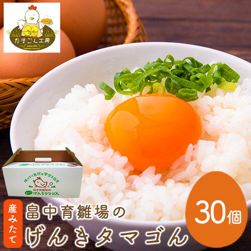 畠中育雛場のげんきタマゴん 30個 [30日以内に出荷予定(土日祝除く)]福岡県 鞍手郡 小竹町 卵 送料無料 有限会社畠中育雛場
