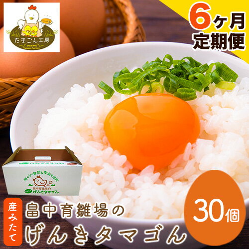 畠中育雛場のげんきタマゴん 30個 6回お届けで計180個！《お申込み月の翌月から出荷開始》福岡県 鞍手郡 小竹町 卵 送料無料 有限会社畠中育雛場