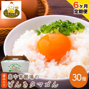 【ふるさと納税】【6ヶ月定期便】畠中育雛場のげんきタマゴん 30個 6回お届けで計180個!《お申込み月の翌月から出荷開始》福岡県 鞍手郡 小竹町 卵 送料無料 有限会社畠中育雛場