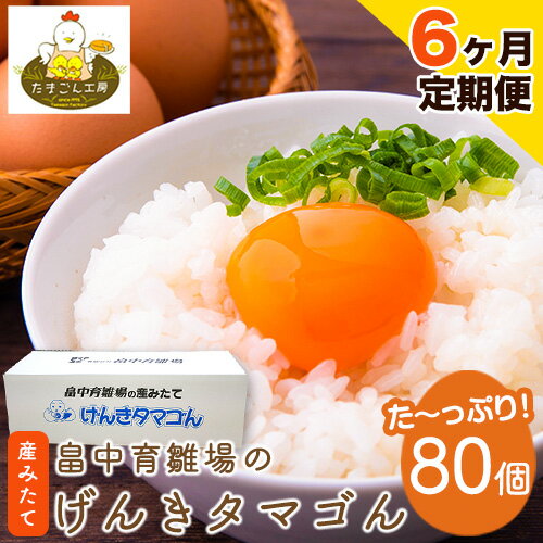 【ふるさと納税】【6ヶ月定期便】畠中育雛場のげんきタマゴん 80個 6回お届けで計480個！《お申込み月の翌月から出荷開始》福岡県 鞍手..