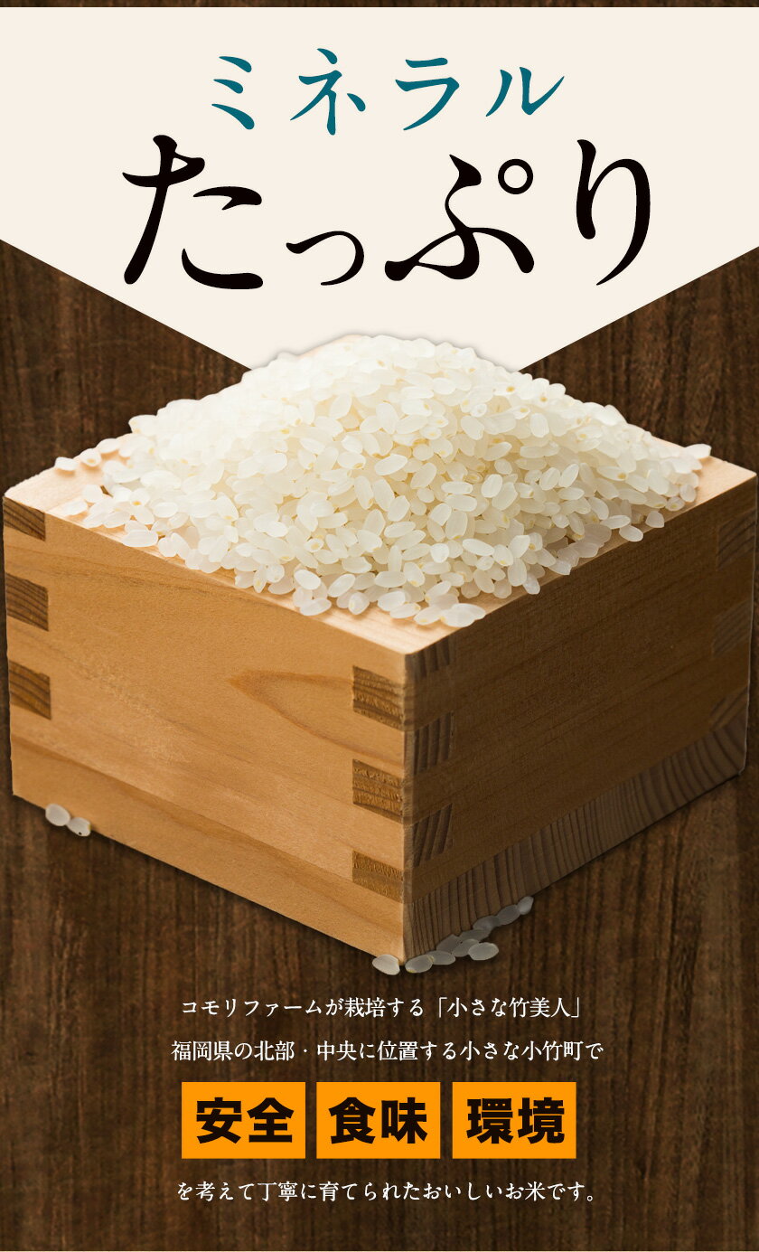 【ふるさと納税】令和3年産 小さな竹美人 7分づき 米 4kg(2kg×2袋) 株式会社コモリファーム《30日以内に順次出荷（土日祝除く）》