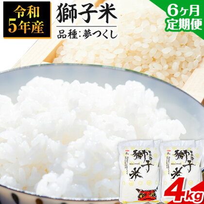 【6ヶ月定期便】令和5年産 特別栽培米 獅子米（品種：夢つくし） 精米 4kg(2kg×2袋) 白米 精米 株式会社コモリファーム《お申込み月の翌月から出荷開始》減農薬・減化学肥料栽培　合計24kgお届け