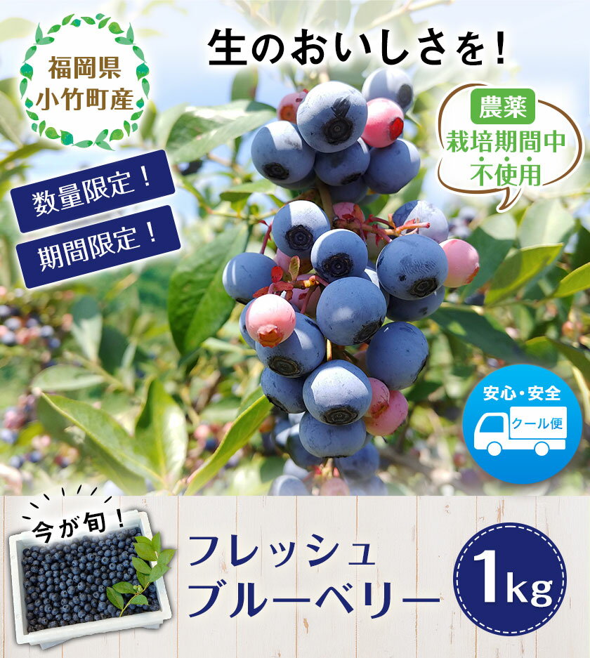 【ふるさと納税】 ブルーベリー 数量限定 1kg 生 フルーツ 果物 国産 送料無料 山の里自然農園 未冷凍《7月上旬-8月上旬頃より順次出荷(土日祝除く)》