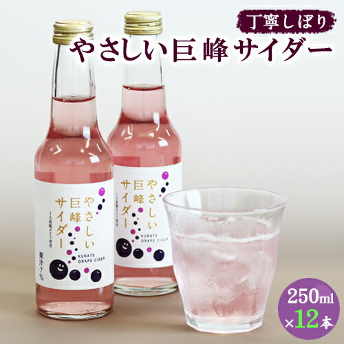 巨峰サイダー 250ml×12本 福岡県 鞍手町 送料無料[7月上旬-8月末頃出荷予定]ぶどう 直鞍農業協同組合 営農センター フルーツ