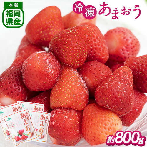 【ふるさと納税】冷凍あまおう 約800g(約200g×4袋)