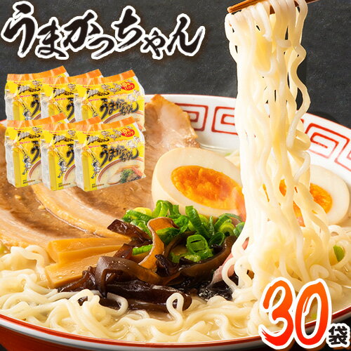 【ふるさと納税】うまかっちゃん 30