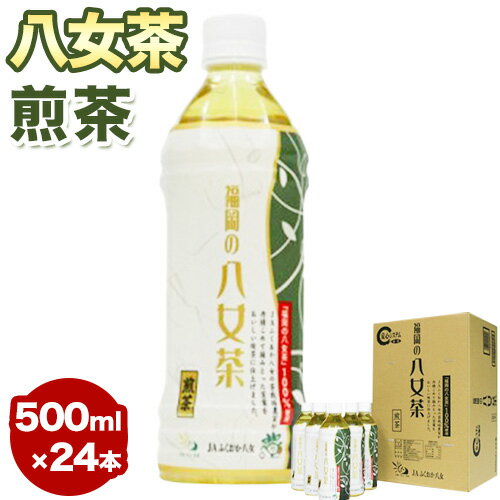 八女茶 煎茶ペットボトル 500ml×24本 株式会社親和園[30日以内に順次出荷(土日祝除く)]福岡県 鞍手郡 鞍手町 お茶 緑茶 茶 八女茶 ペットボトル 送料無料