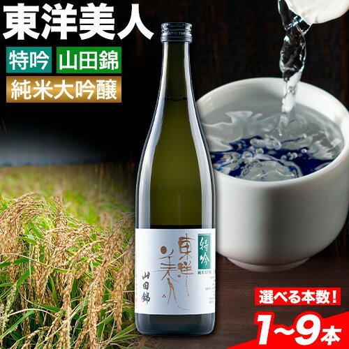 【ふるさと納税】日本酒 新酒 東洋美人 特吟 山田錦 純米大