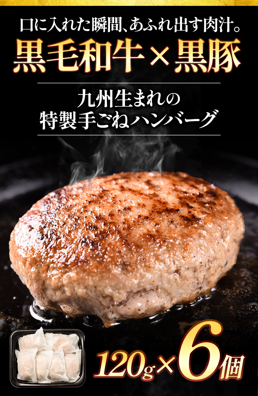 【ふるさと納税】黒毛和牛×黒豚使用！九州うまれの特製手ごねハンバーグ 120g×6個 ...