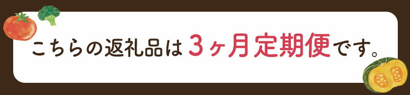 【ふるさと納税】【3ヶ月定期便】ひだまりとアンダンテセット 全3回《お申込みの翌月より順次出荷開始》福岡県 鞍手郡 鞍手町 花田農園 野菜スープ トマト ブロッコリー かぼちゃ 送料無料