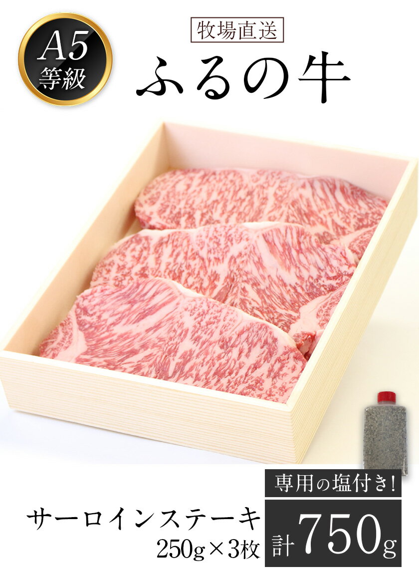 【ふるさと納税】ふるの牛（黒毛和牛）特選サーロインステーキ 750g(250g×3枚) ゲランド塩付き A5 有限会社ふるの《30日以内に順次出荷(土日祝除く)》