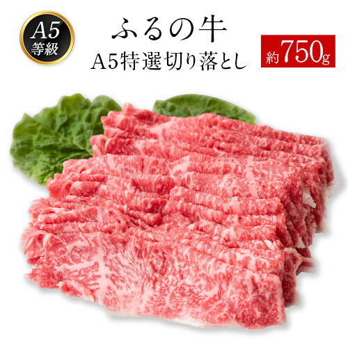 ふるの牛(黒毛和牛)A5特選 切り落とし 750g 送料無料 A5 ミシュラン掲載[30日以内に順次出荷(土日祝除く)]