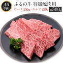 ふるの牛（黒毛和牛）特選焼肉用 500g (ロース250g、カルビ250g) A5 ミシュラン掲載《30日以内に順次出荷(土日祝除く)》