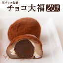 【ふるさと納税】生チョコ食感 チョコ大福 20個 北九食品株式会社 《30日以内に順次出荷(土日祝除く)》大福 和菓子 スイーツ 福岡県 鞍手郡 鞍手町