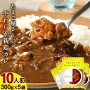 【ふるさと納税】たまご屋さんのやわらか親鶏カレー 10人前 300g×5袋 野上養鶏場 送料無料 《60日以内に順次出荷(土日祝除く)》 福岡県 鞍手郡 鞍手町 味宝卵 カレー