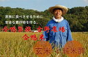 【ふるさと納税】古野農場の合鴨農法で作った無農薬米「合鴨米・