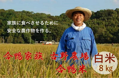 楽天ふるさと納税　【ふるさと納税】古野農場 合鴨農法 無農薬米「合鴨米・白米8kg」令和5年 2023年 福岡県産 米