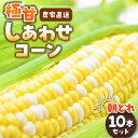 20位! 口コミ数「0件」評価「0」K's farm 朝採れスイートコーン しあわせコーン 10本 【2024年6月中旬～7月中旬発送予定】 桂川町/K's farm[ADAA･･･ 