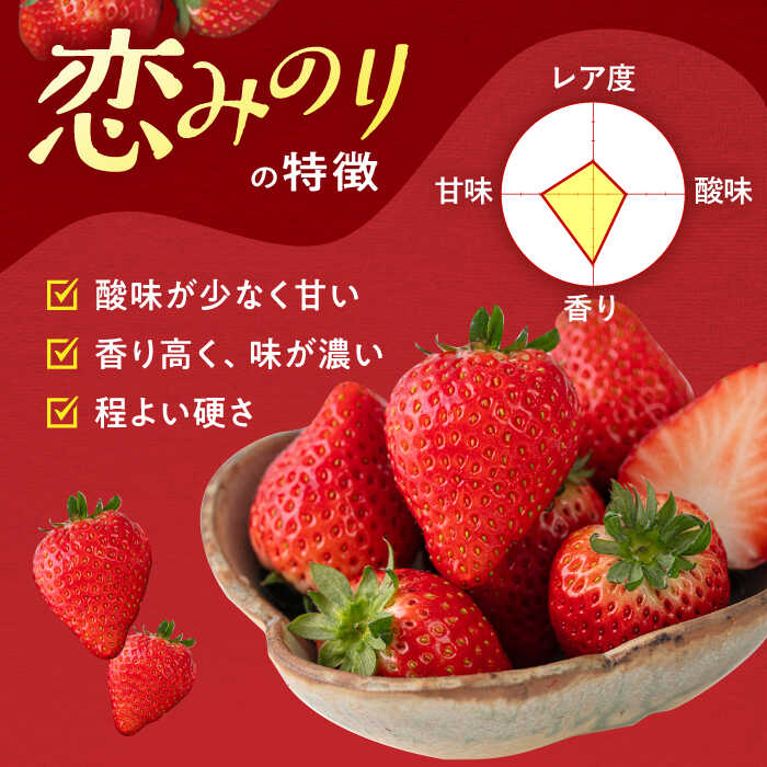 【ふるさと納税】大塚ファームのいちご 「恋みのり」 約230g×4パック 【2024年12月中旬～2025年3月発送予定】 桂川町/大塚ファーム[ADAB001]