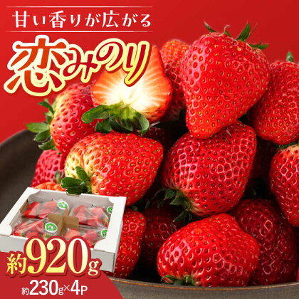 大塚ファームのいちご 「恋みのり」 約230g×4パック 【2024年12月中旬～2025年3月発送予定】 桂川町/大塚ファーム[ADAB001]